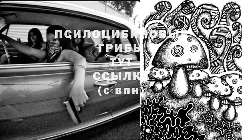 Псилоцибиновые грибы Magic Shrooms Богородицк